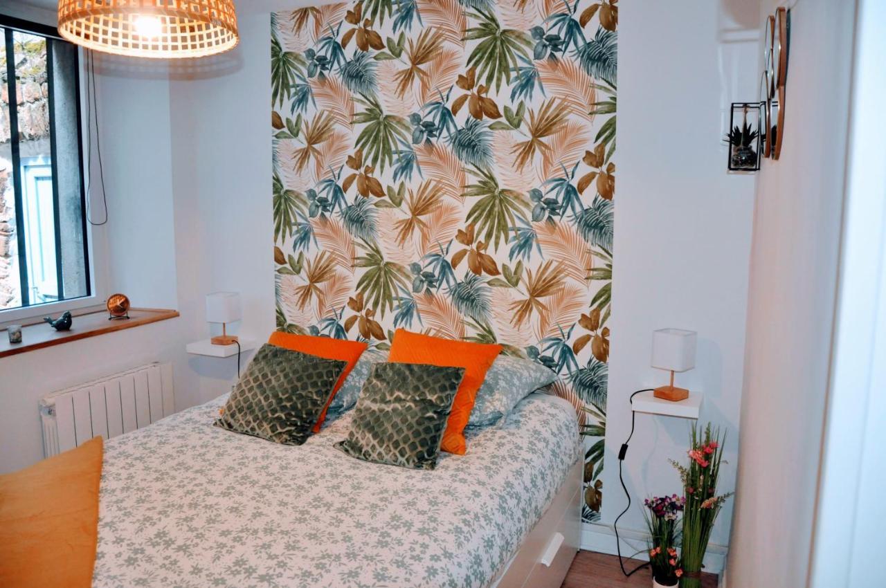 Dormir A Brioude - Appartement 'Esprit Nature' Exterior foto